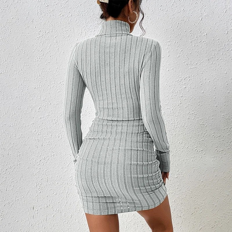 Ines Women's Ribbed Mock Neck Knit Mini Dress
