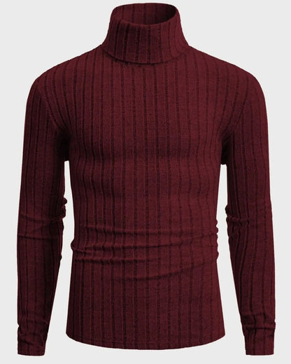 Ravilo Ribbed Knit Turtleneck Sweater